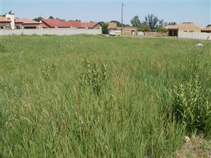 1000 m² Land available in Masada