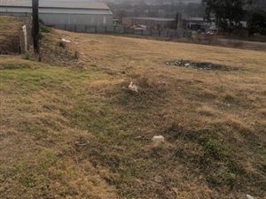 2026 m² Land available in Richmond