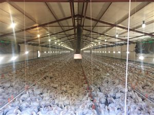 172 ha Farm in Groot Marico