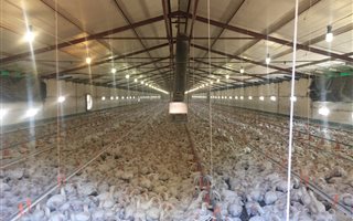 124 ha Farm in Groot Marico