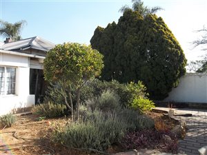 1 Bed Garden Cottage in Orange Grove