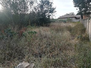 1000 m² Land available in Ohenimuri