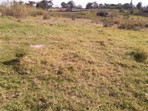 6094 m² Land available in Pacaltsdorp