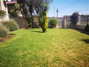 3 Bed House in Georginia