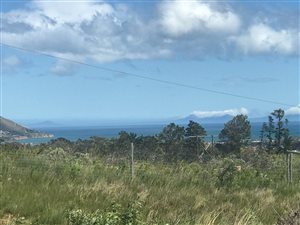 1 ha Farm in Firlands