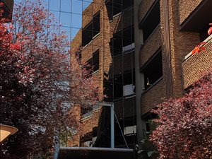 654 m² Commercial space in Bedfordview