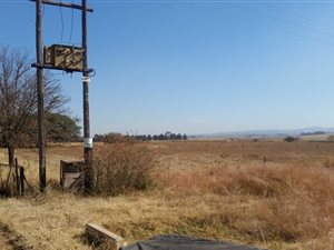 17.1 ha Farm in Henley on Klip