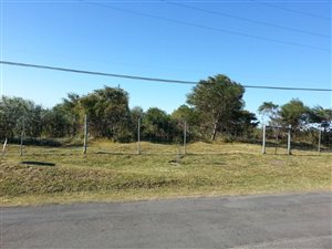 3808 m² Land available in Glen Eden