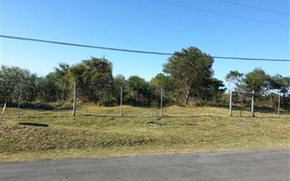 3808 m² Land available in Glen Eden