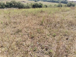 50 m² Land available in Umbumbulu