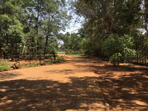 2.2 ha Farm in Nestpark AH