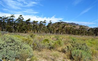 1.2 ha Land available in Sir Lowrys and surrounds
