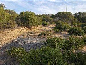 1089 m² Land available in Vlees Bay