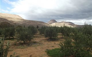 17 ha Farm in Touws Rivier