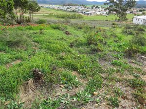 1704 m² Land available in Napier