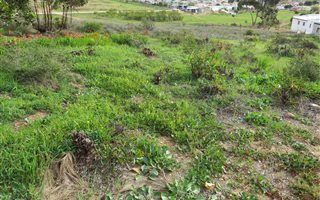1704 m² Land available in Napier