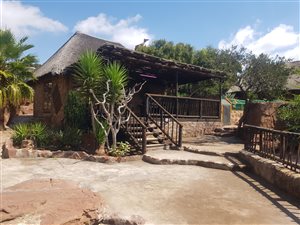 484 ha Farm in Middelburg Central