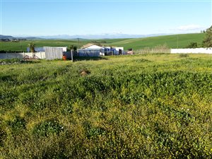 1388 m² Land available in Koringberg