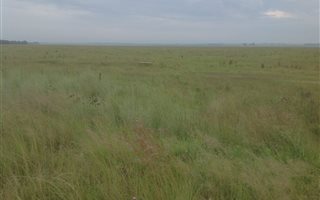 106 ha Farm in Devon