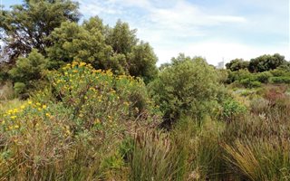 840 m² Land available in Bettys Bay