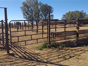 536 m² Farm in Kuruman