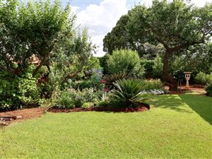 3 Bedroom House in Strubenvale