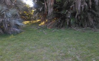 1339 m² Land available in Woodgrange