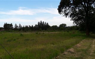 4047 m² Land available in Albert Falls
