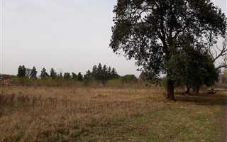 4047 m² Land available in Cramond
