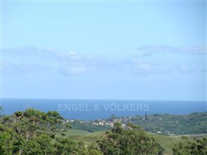 4 ha Farm in Hibberdene