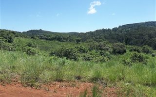 1259 m² Land available in Montrose