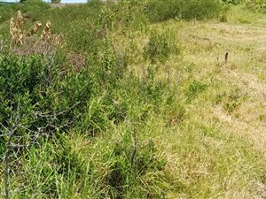 1760 m² Land available in Pacaltsdorp
