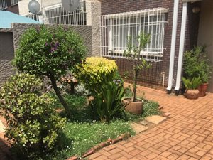 1 Bed Apartment in Risidale