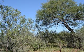 1.2 ha Land available in Raptors View Wildlife Estate