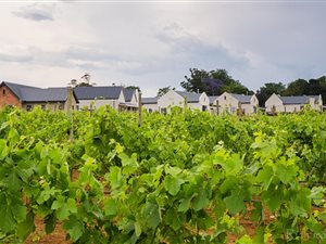 442 m² Land available in St Johns Village