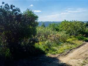 4.9 ha Land available in Hoekwil