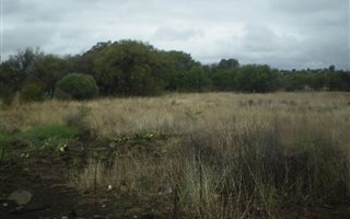 4.3 ha Land available in Bloemspruit