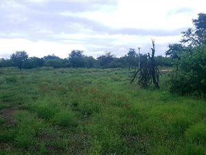 1200 m² Land available in The Ridge Estate