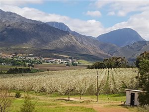 308.4 ha Farm in Villiersdorp