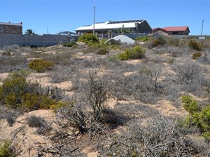 755 m² Land available in Lamberts Bay