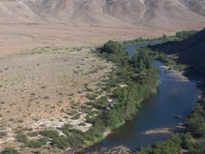 5438 ha Farm in Ceres