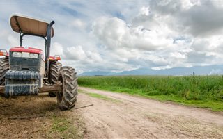 59 ha Land available in George Central