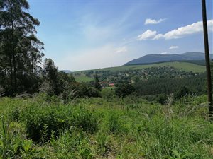 2 ha Farm in Haenertsburg