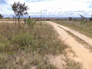 8 ha Farm in Polokwane Central