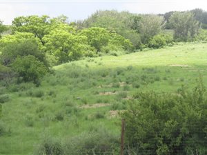 100 ha Farm in Frankfort