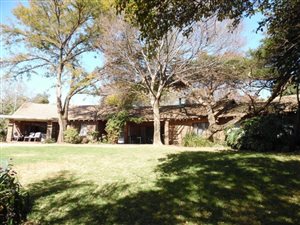 19 Bedroom House in Austin View