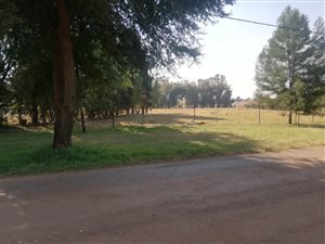 1 ha Land available in Rietkol AH