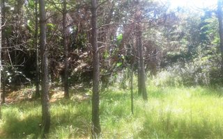 1359 m² Land available in Hibberdene