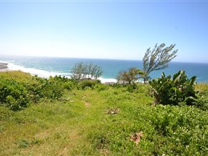1364 m² Land available in Tinley Manor Beach