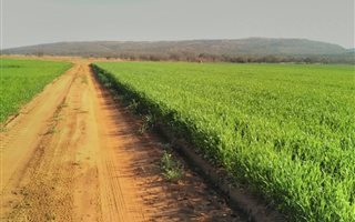 186 ha Farm in Alma